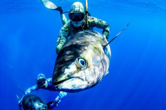 underwater hunting cancun