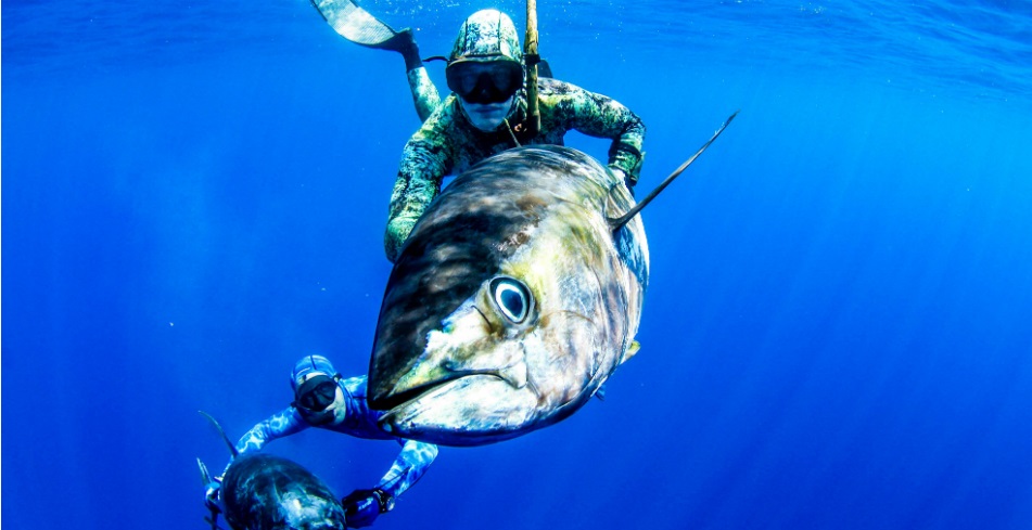 underwater hunting cancun