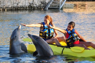 Dolphins tour cancun